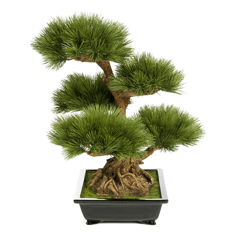 Dennen bonsai - kunstplant