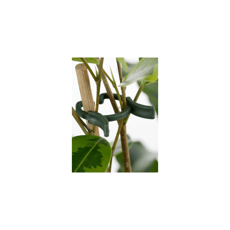 Plantenclips 50 stuks