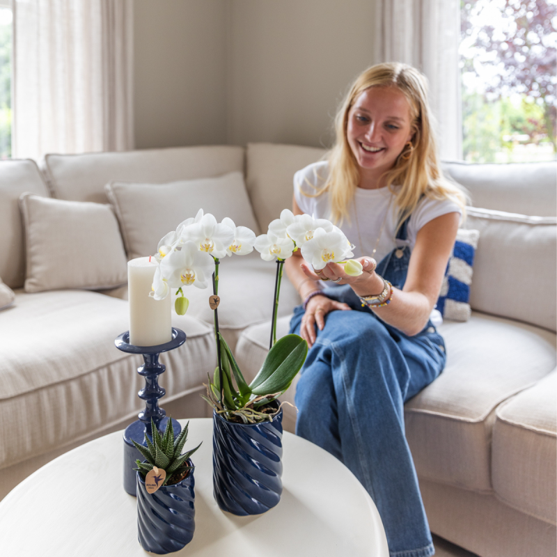 Planten duo in Spiral Clay blauw 