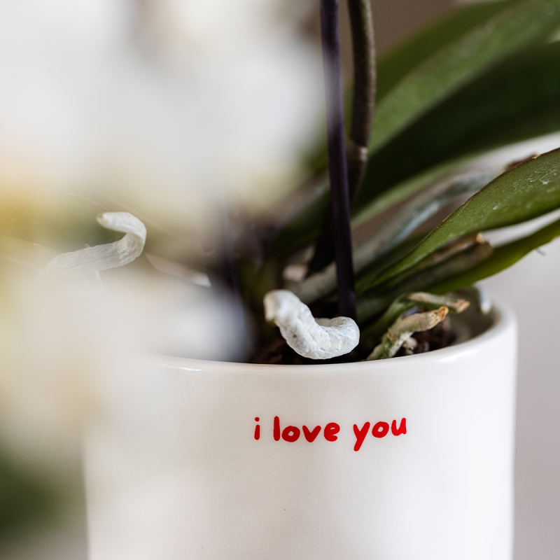 Plantenset Love You