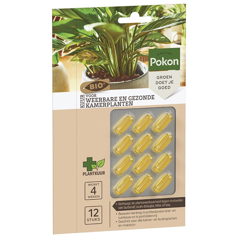 Bio kuur voor kamerplanten