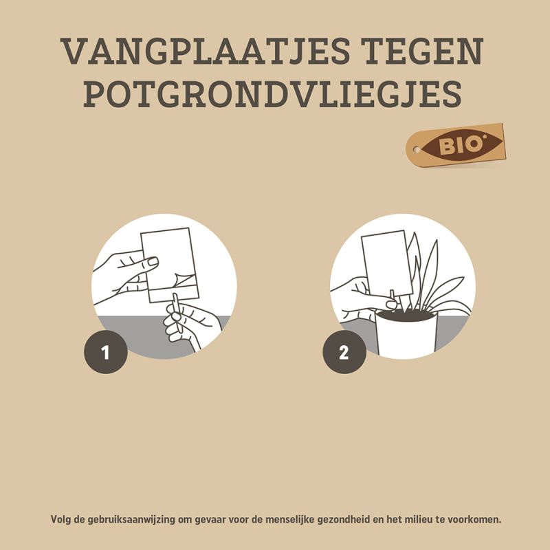 Bio vangplaatjes tegen rouwvliegjes
