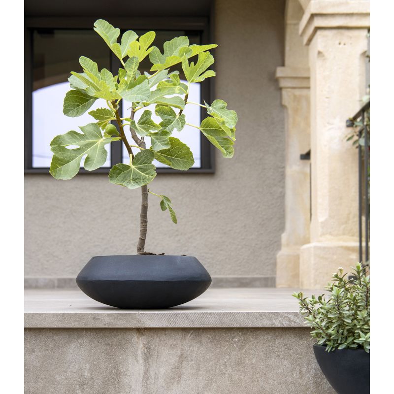 Fiberstone Tara Bowl Zwart