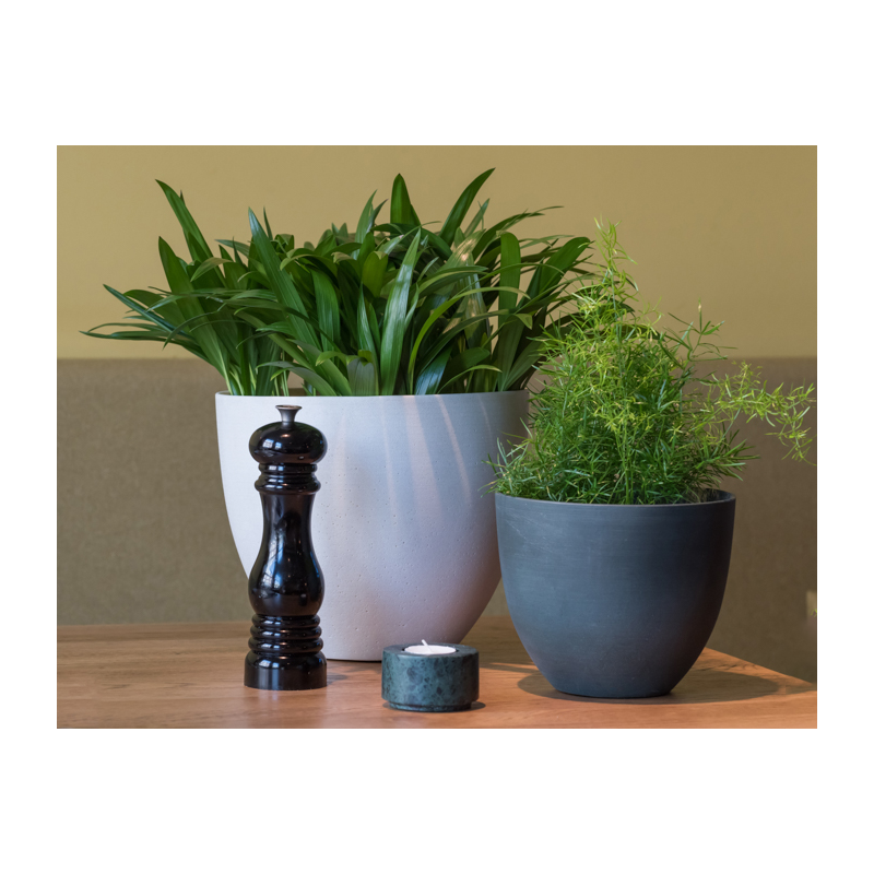 Refined Couple Groen