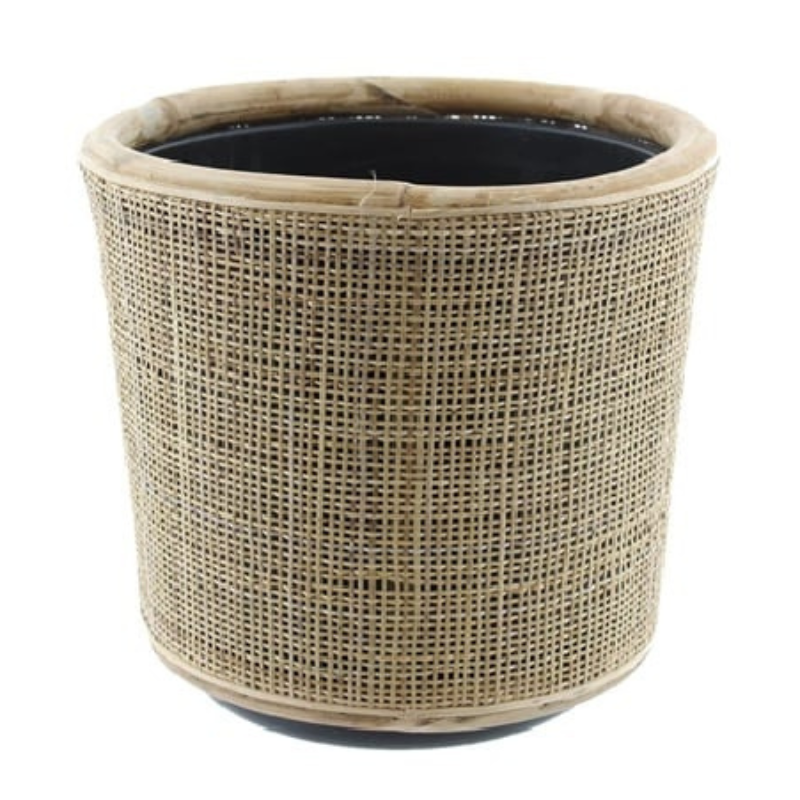 Drypot Webbing Rotan 