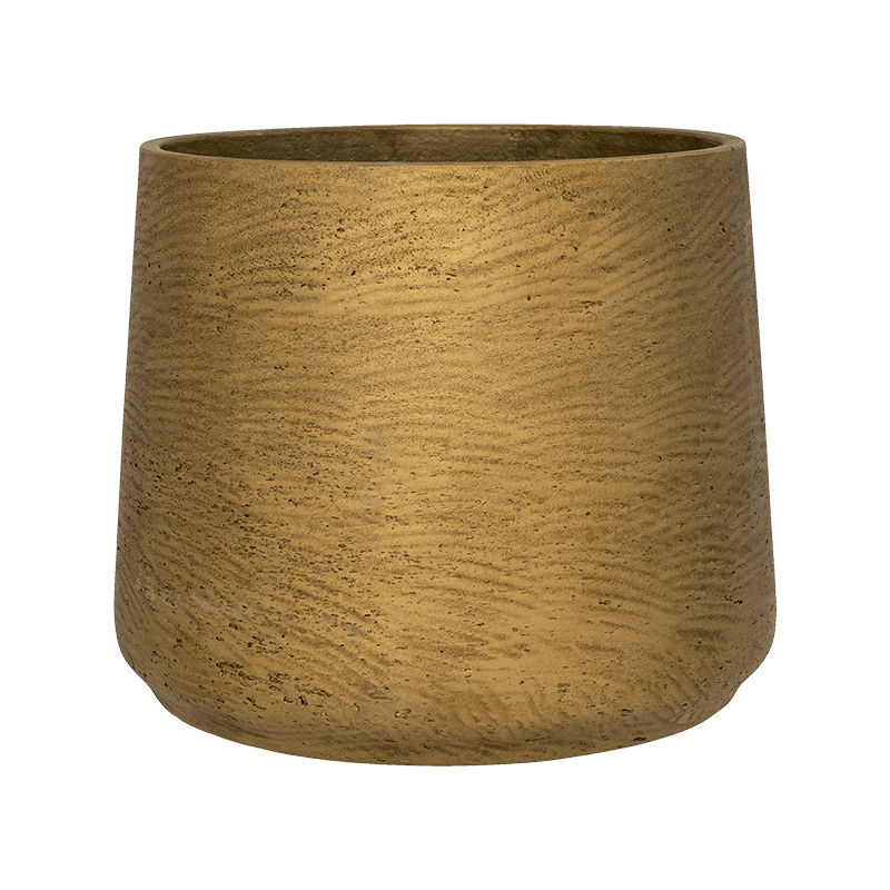 Rugged Patt Goud