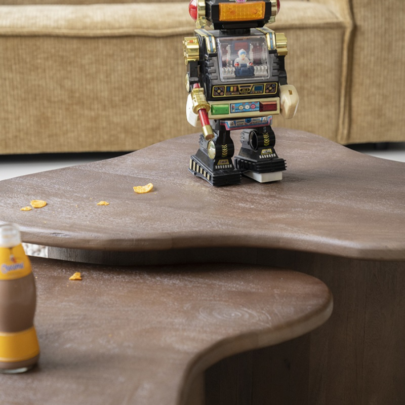 Salontafel Fall bruin - set van 2