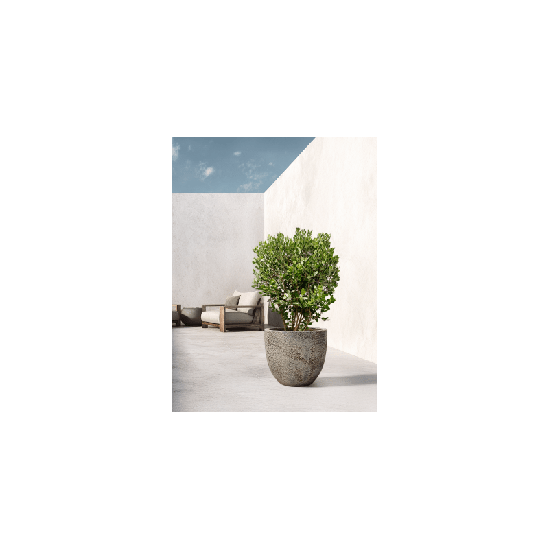 Sandora Couple Groen