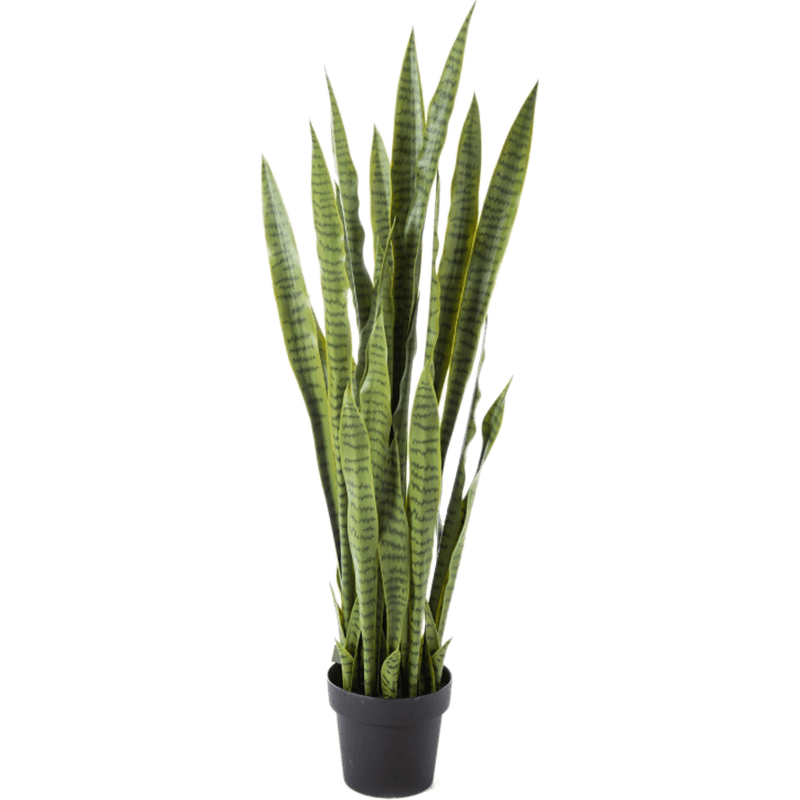 Sansevieria - kunstplant
