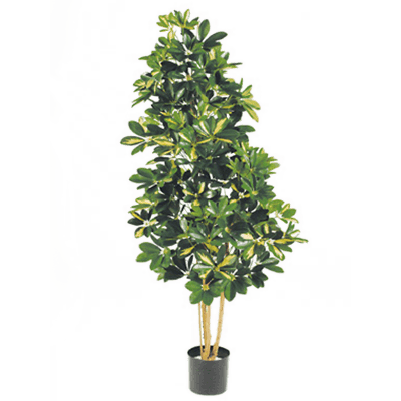 Schefflera Gold Capella - kunstplant