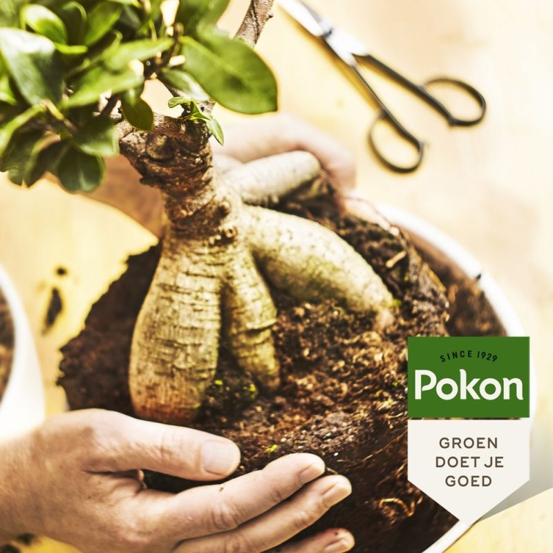 Pokon Bio Bonsai Potgrond Turfvrij 5L