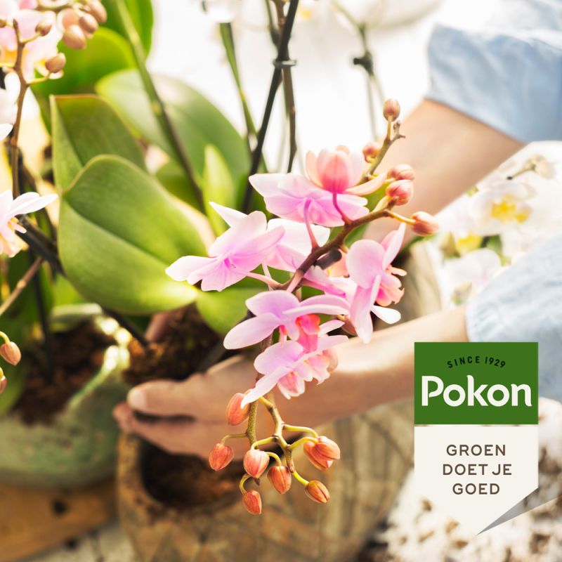 Pokon Bio Orchidee Potgrond Turfvrij 5L