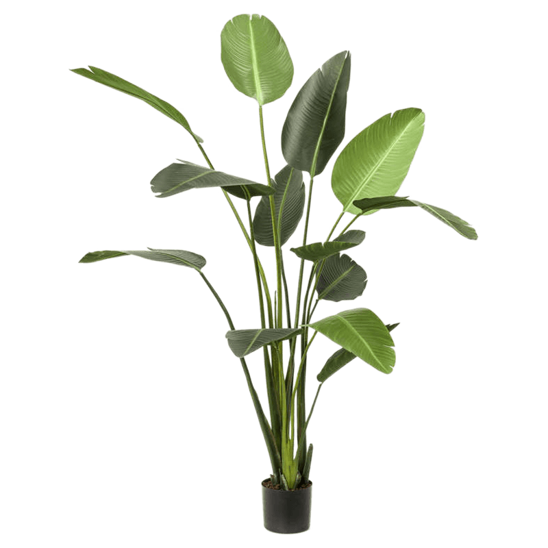 Strelitzia XL - kunstplant 