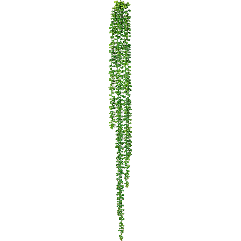 String of Pearls - kunstplant