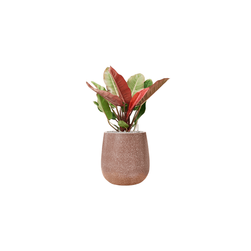 Terrazzo Balloon Mokka