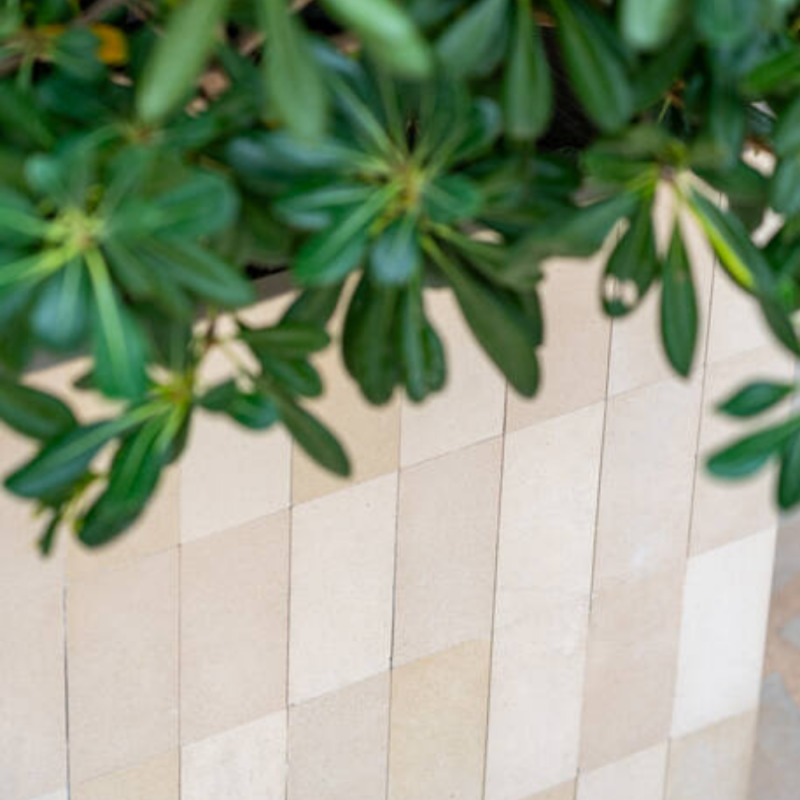 Tile Jort Verona Cream