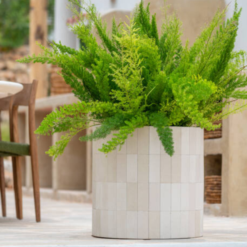 Tile Max Verona Cream