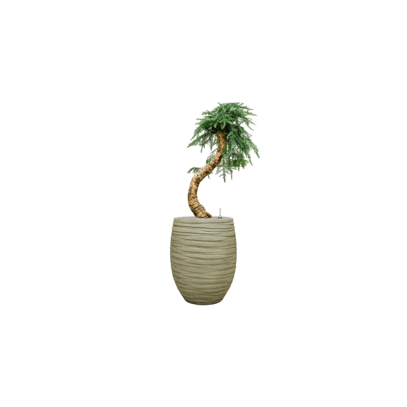 Tornado Emperor Groen