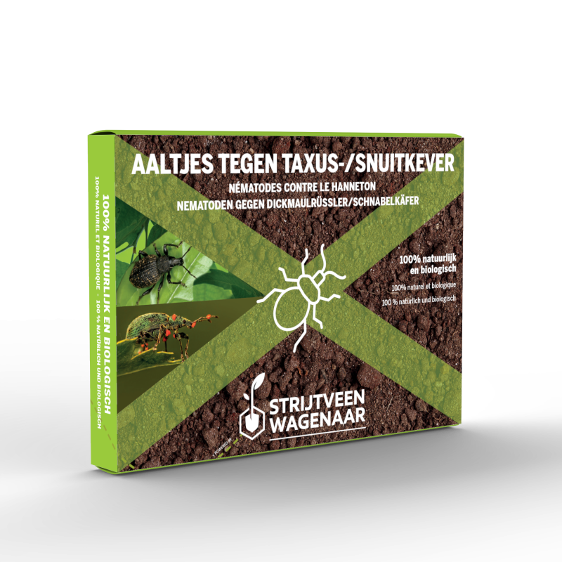 Aaltjes tegen taxus- en snuitkever 10m2