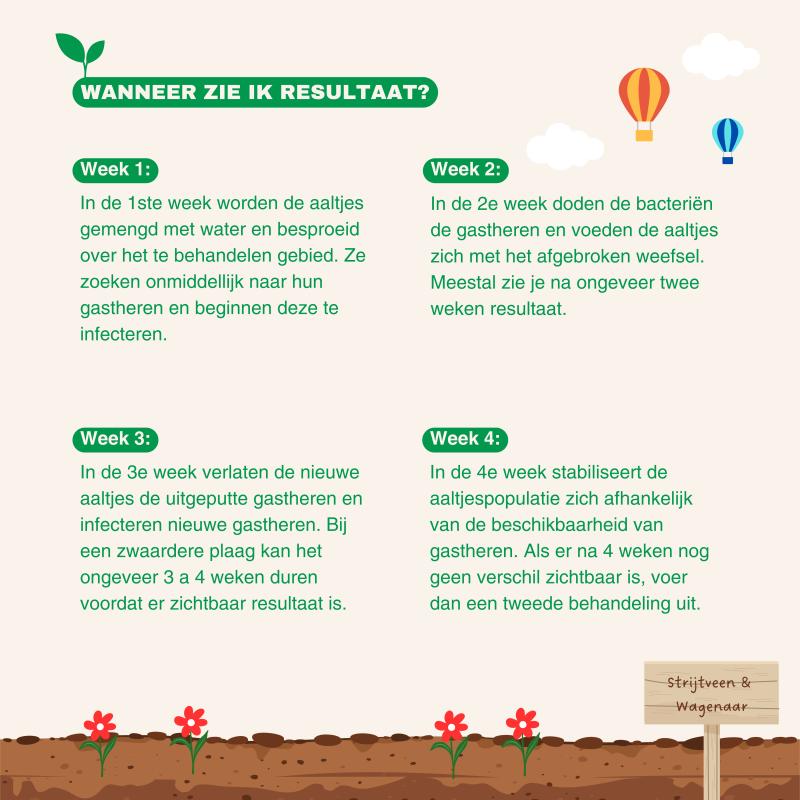Aaltjes tegen emelten 100m2