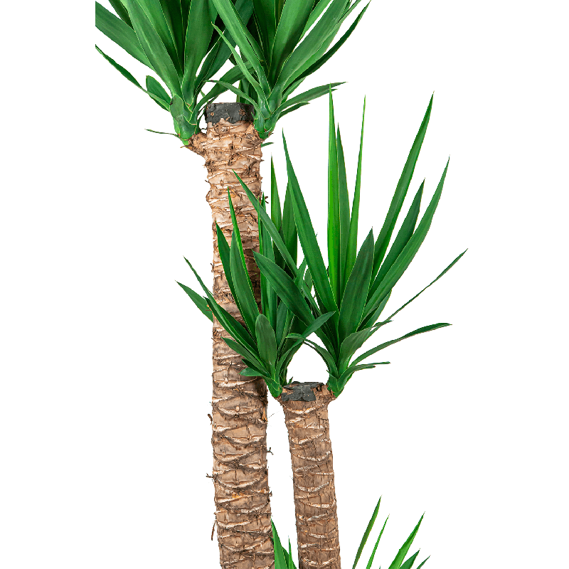 Yucca Elephantipes toef in Artstone Claire bruin
