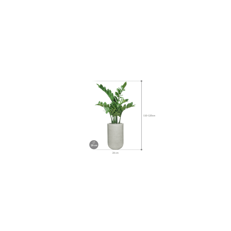 Zamioculcas in Ribbed Cody High Cement - kunstplant