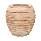 antica verona.png