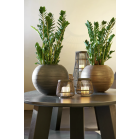 curved globe bronze 1.png