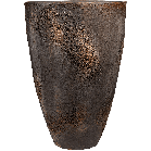 Oyster oscar.png