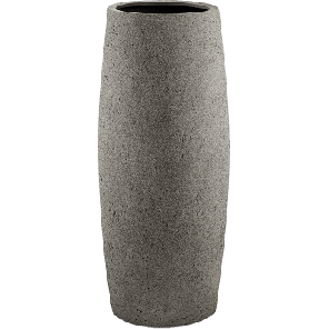 6DLIA8111-medium.png