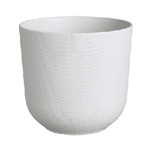 6ELHJR16W-medium.png