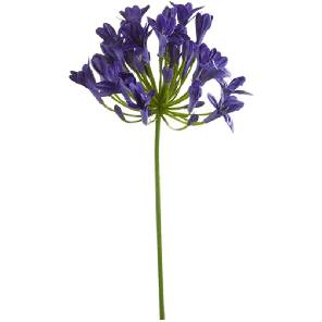 8EE417552.png