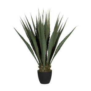 agave kunstplant.png