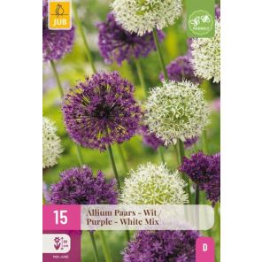 allium paars-wit 15.jpg