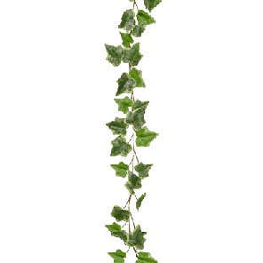 bont xl.png