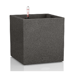 canto-square-zwart.png