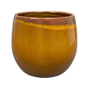 Charlotte Ochre.png