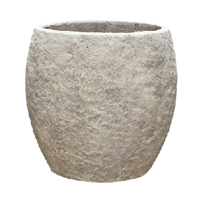 coast globe.png