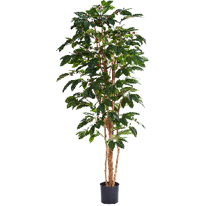 coffea-arabica-kunstplant-120-cm_ca39f4.png