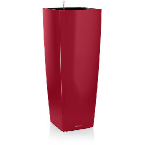cubico alto rood.png