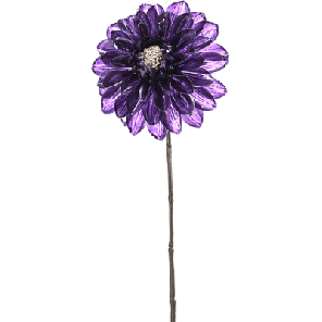 dahlia paars.png