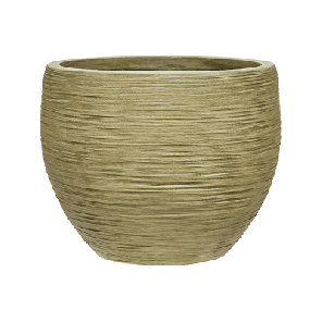 dune globe groen.png