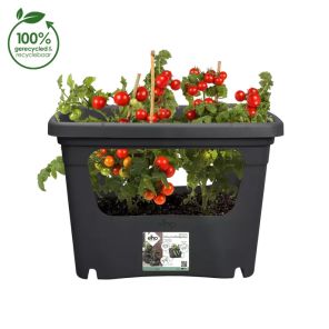 Elho Open Kweekbak Green Basics kweken zwart.jpg