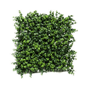 Eucalyptus kunst plantenwand.png