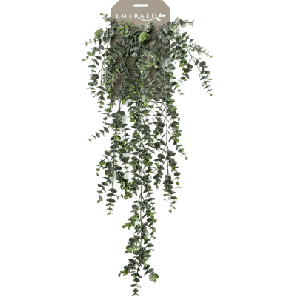 eucalyptus tak.png