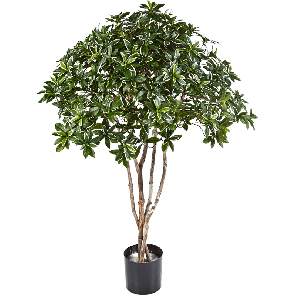 eunymus-japonicus-kunstplant_635a72.png
