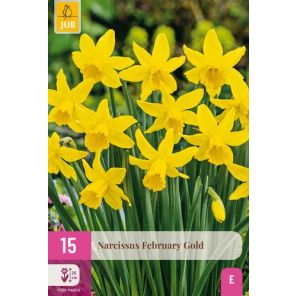 february gold 15.jpg