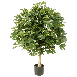 giant-ball-schefflera-var-kunstplant_3a07d3.png