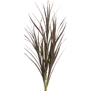 grass-bush-burgundy_434d1b.png