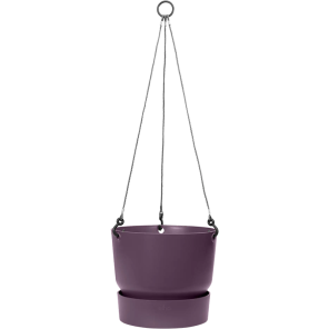 greenville hanger paars.png